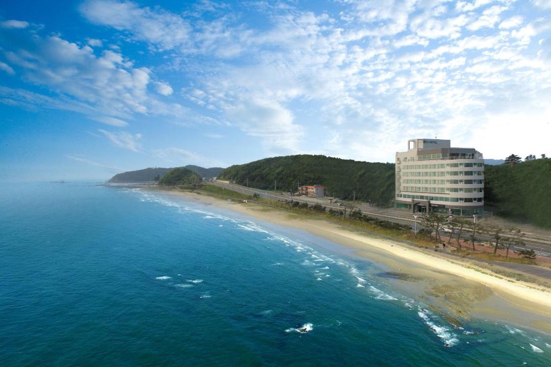 Photo of Others in Sokcho