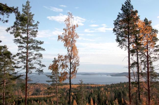 Photo of Others in Muurame