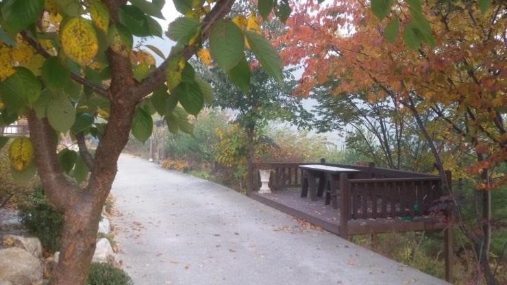 Photo of Others in Jeongseon