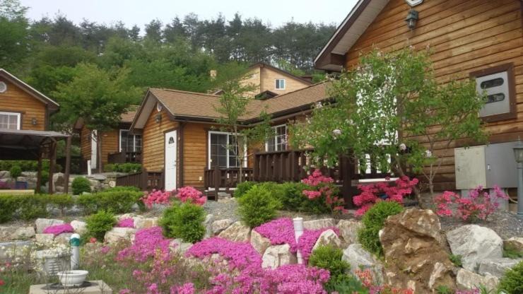 Photo of Others in Jeongseon