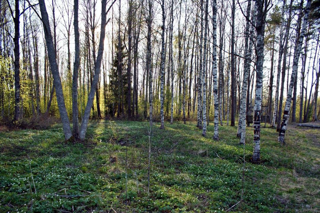 Photo of Others in Kristiinankaupunki