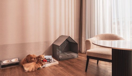 SHAKA PET ROOM