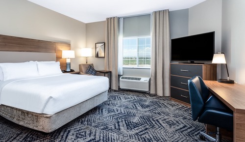 Studio Suite, 1 Queen Bed, Kitchen