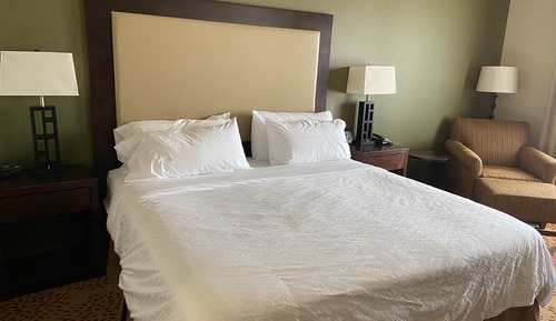 Room, 1 King Bed, Roll-in Shower (Communications Accessible)