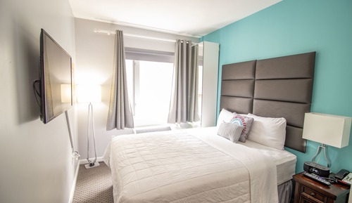 Standard Room 1 King Bed City View
