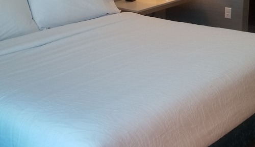 Room, 1 King Bed, Accessible (Roll-In Shower, Mobility & Hearing)
