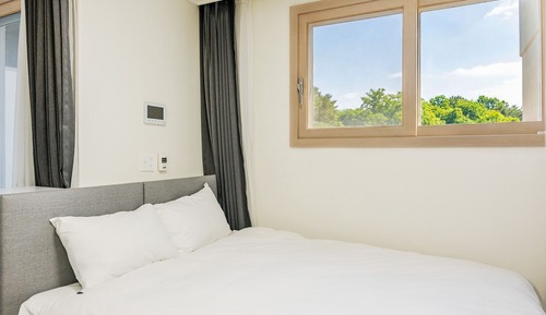 Basic Room, 1 Bedroom (Mountain View 10 (Random))