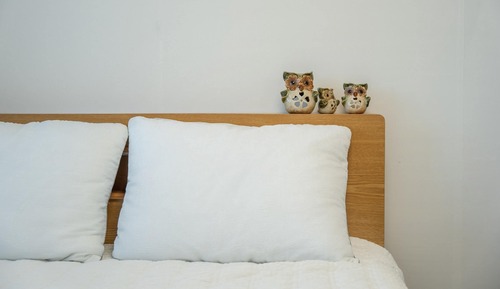 Basic Room, 1 Bedroom (Room 201)