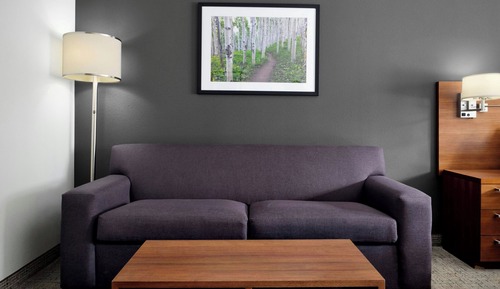 Studio, 1 King Bed with Sofa bed