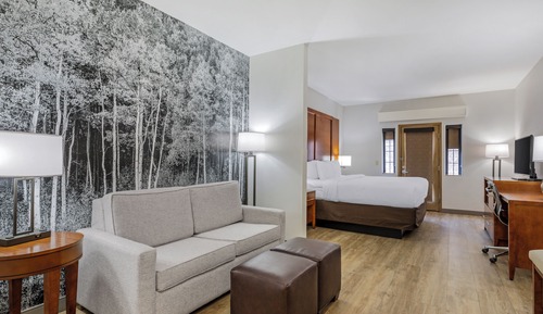 Suite, 1 King Bed, Non Smoking