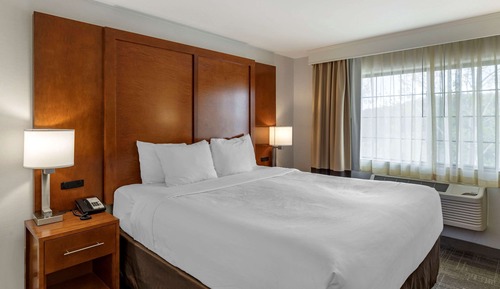 Suite, 1 King Bed with Sofa bed, Non Smoking, Balcony