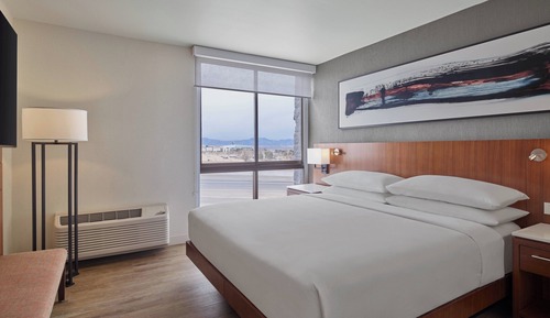 Room, 1 King Bed