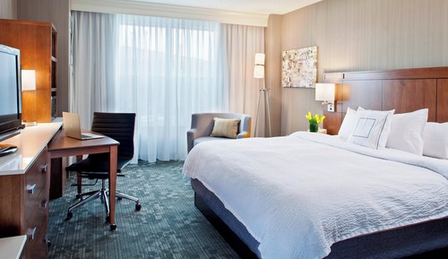 Room, 1 King Bed with Sofa bed