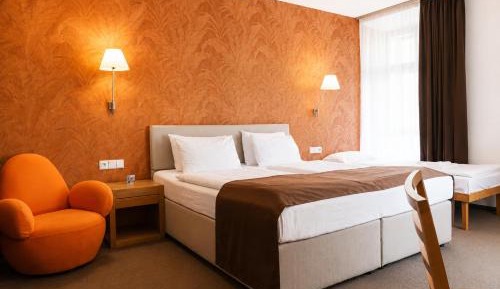 Basic Triple Room