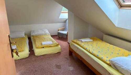 Attic Apartment with Kitchen and Private Bathroom