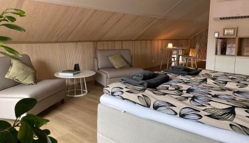 Deluxe Family Room