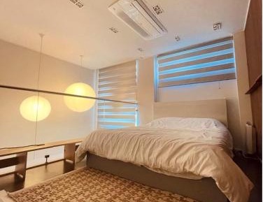 One-bedroom Loft Apartment 