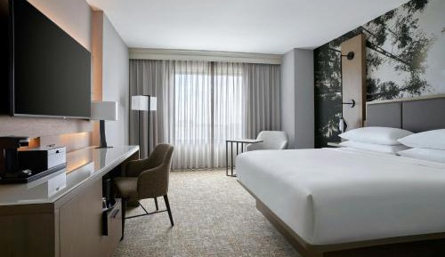 Guest room, 1 King