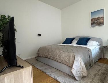 Deluxe Apartment