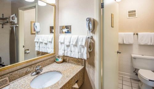 Double Room with Two Double Beds and Atrium View - Non-Smoking/Pet Friendly