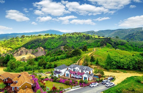 Daegwallyeong Hotel | Pungcha & Herb Pension