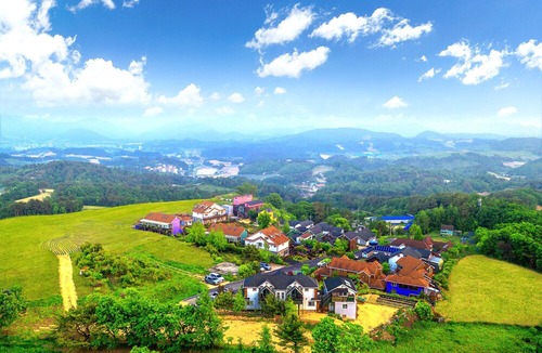 Daegwallyeong Hotel | Pungcha & Herb Pension