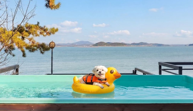 Taean Solpleo Pool Villa